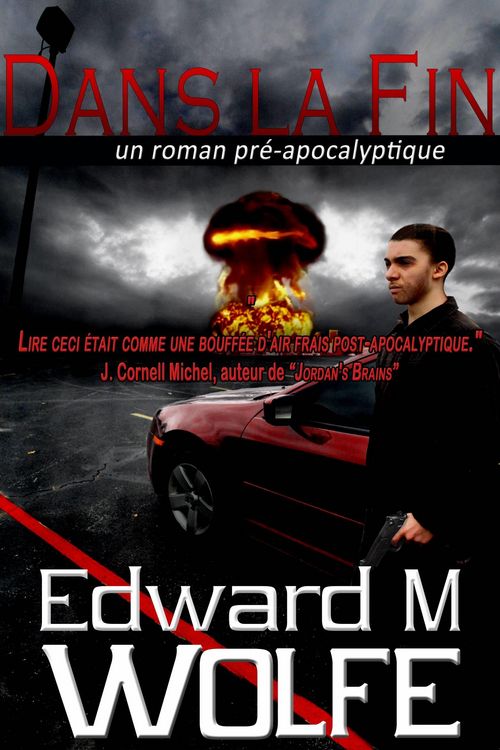 Produktbild: Dans la Fin - un roman pre-apocalyptique