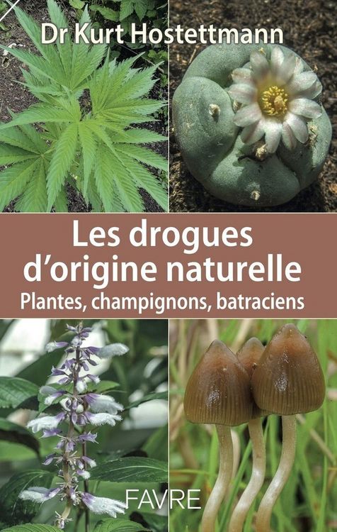 Produktbild: Les drogues d'origine naturelle : plantes, champignons, batraciens