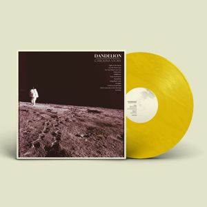 Produktbild: Dandelion
