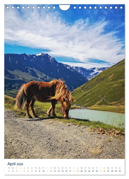 Produktbild: Sommer in &Ouml;sterreich - sonnige Tage in den Bergen (Wandkalender 2026 DIN A4 hoch), CALVENDO Monatskalender