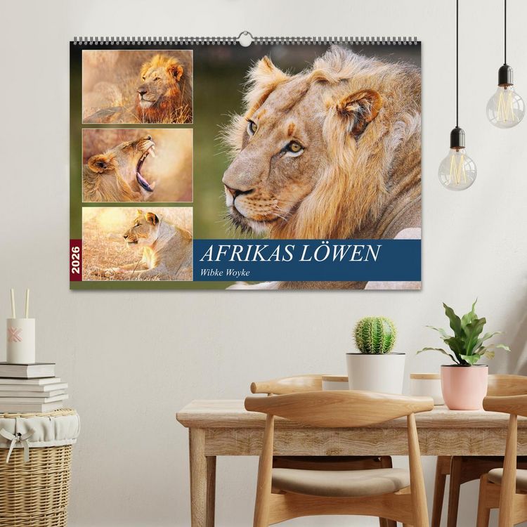 Produktbild: Afrikas L&ouml;wen 2026 (Wandkalender 2026 DIN A2 quer), CALVENDO Monatskalender
