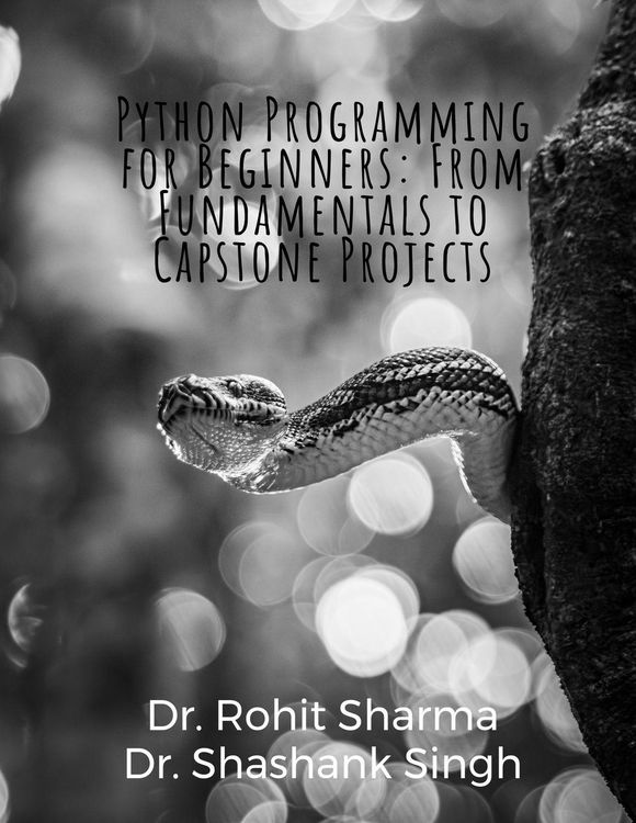 "Python Programming for Beginners" auf Englisch kaufen