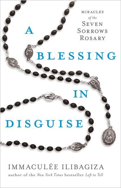 Produktbild: A Blessing in Disguise