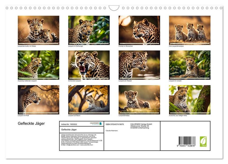 Produktbild: Gefleckte J&auml;ger (Wandkalender 2026 DIN A3 quer), CALVENDO Monatskalender