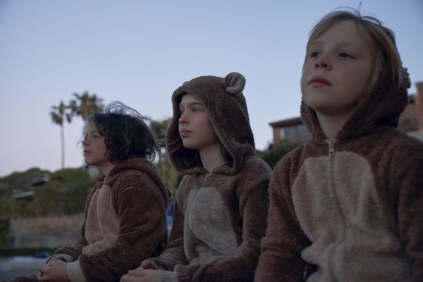 Produktbild: Befl&uuml;gelt - Ein Vogel namens Penguin Bloom