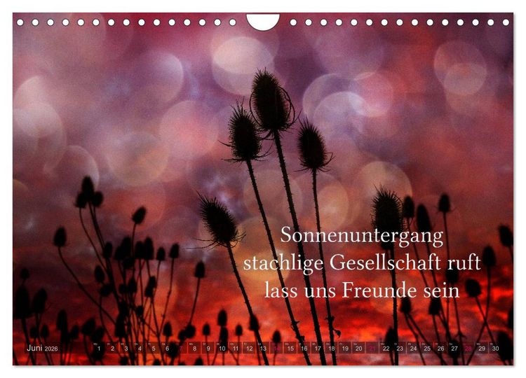 Produktbild: Haiku - Gedichte in 17 Silben (Wandkalender 2026 DIN A4 quer), CALVENDO Monatskalender