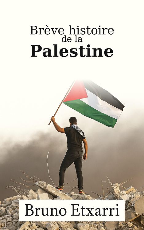 Produktbild: Br&egrave;ve histoire de la Palestine