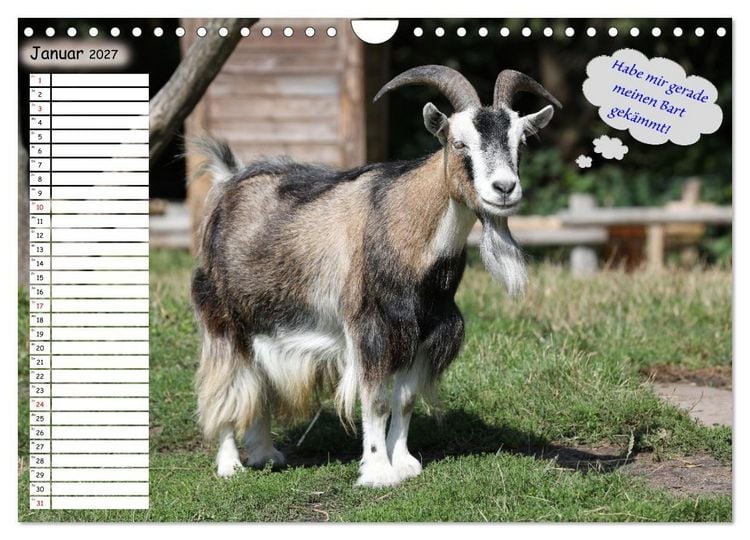 Produktbild: Wenn Tiere Sprechen k&ouml;nnten! Der lustige Spr&uuml;che Geburtstagskalender (Wandkalender 2027 DIN A4 quer), CALVENDO Monatskalender