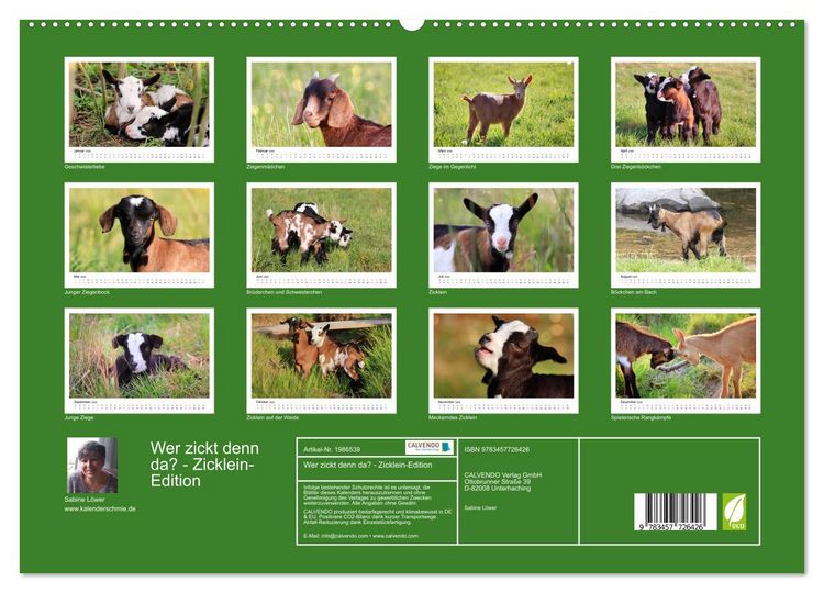 Produktbild: Wer zickt denn da? - Zicklein-Edition (hochwertiger Premium Wandkalender 2026 DIN A2 quer), Kunstdruck in Hochglanz