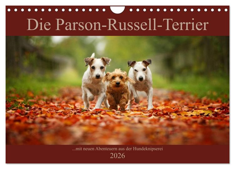 Produktbild: Die Parson-Russell-Terrier ...mit neuen Abenteuern aus der Hundeknipserei (Wandkalender 2026 DIN A4 quer), CALVENDO Monatskalender