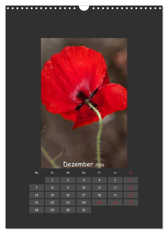 Produktbild: Mohn (Wandkalender 2026 DIN A3 hoch), CALVENDO Monatskalender