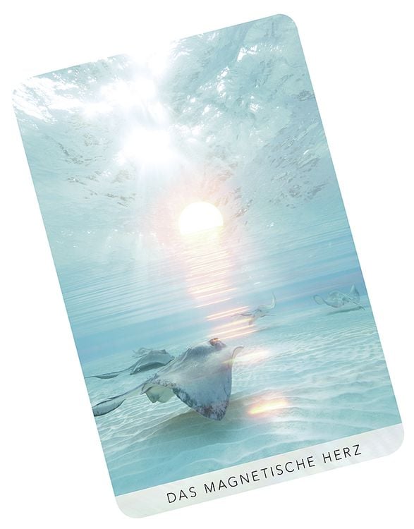 Produktbild: Die Weisheit des Meeres