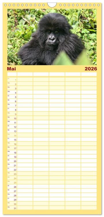 Produktbild: Familienplaner 2026 - Wildes Kinderzimmer - Tierkinder in Afrika mit 5 Spalten (Wandkalender, 21 x 45 cm) CALVENDO