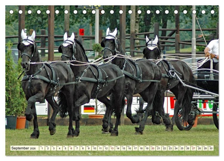 Produktbild: Four-in-hand Driving Challenge (Desk Calendar 2026 DIN A5 landscape), CALVENDO 12 Month DeskCalendar