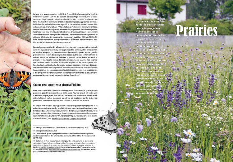 Produktbild: Guide pratique de la nature en ville