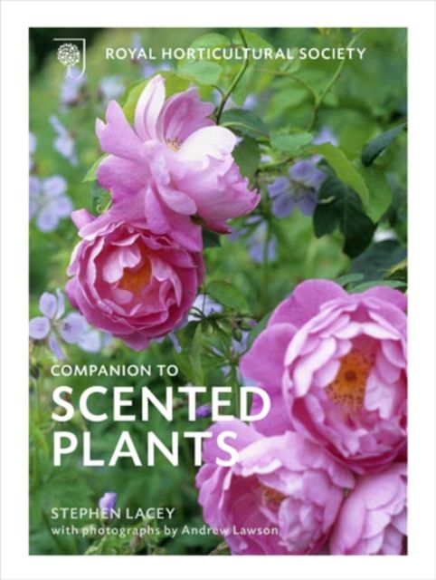 Produktbild: Lacey, S: The The RHS Companion to Scented Plants