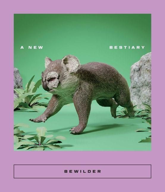Produktbild: Bewilder
