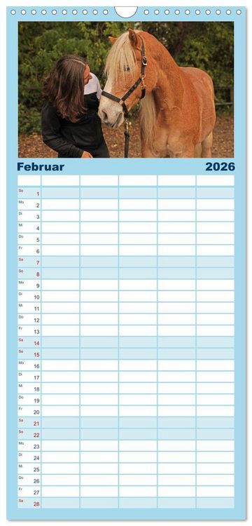 Produktbild: Familienplaner 2026 - Faszination Haflinger mit 5 Spalten (Wandkalender, 21 x 45 cm) CALVENDO