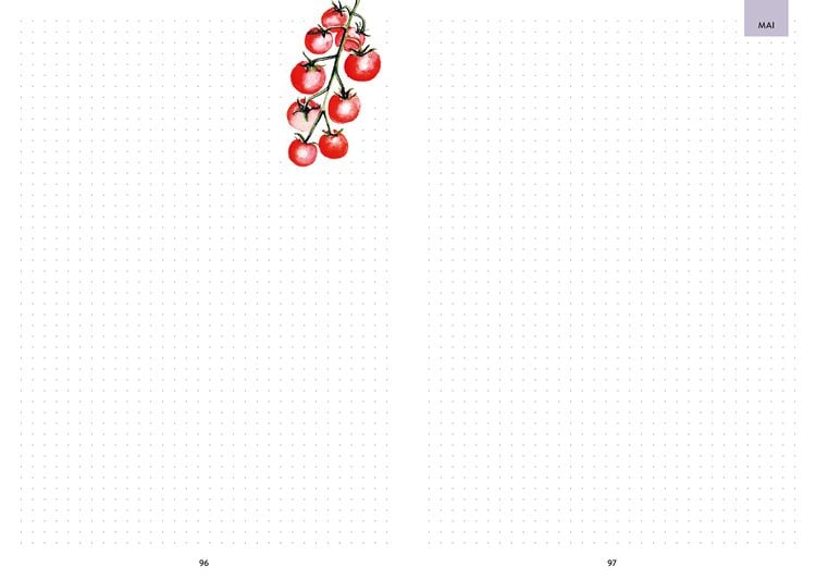 Produktbild: Hochbeet-Gl&uuml;ck &ndash; Das illustrierte Gartenbuch