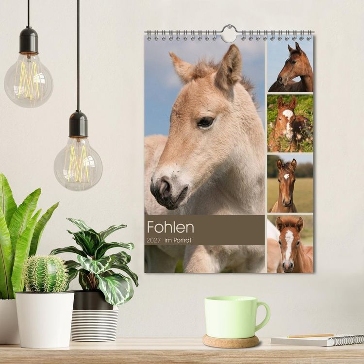 Produktbild: Fohlen im Portr&auml;t (Wandkalender 2027 DIN A4 hoch), CALVENDO Monatskalender