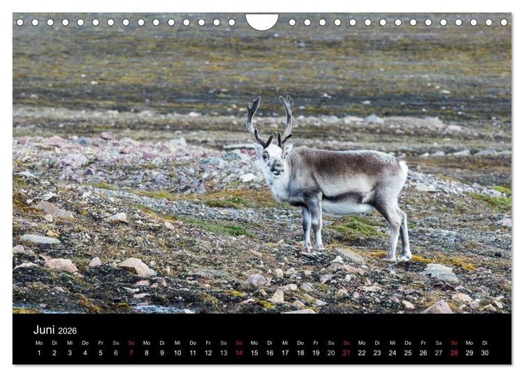 Produktbild: TRAUMZIEL ARKTIS, Impressionen vom Rand der Welt (Wandkalender 2026 DIN A4 quer), CALVENDO Monatskalender