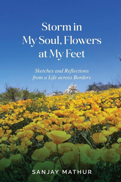 Produktbild: Storm in My Soul, Flowers at My Feet
