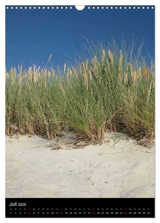 Produktbild: Ostseeblicke (Wandkalender 2026 DIN A3 hoch), CALVENDO Monatskalender