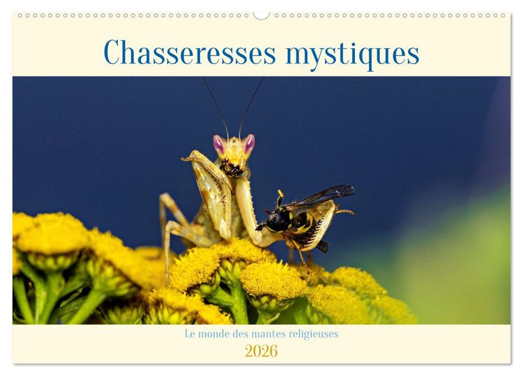 Produktbild: Chasseresses mystiques (Calendrier mural 2026 DIN A2 vertical), CALVENDO calendrier mensuel