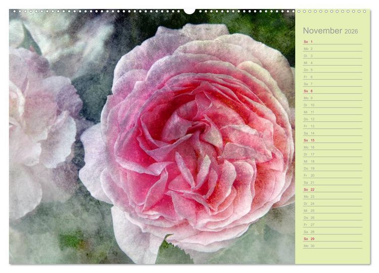Produktbild: Romantische Rosen (hochwertiger Premium Wandkalender 2026 DIN A2 quer), Kunstdruck in Hochglanz