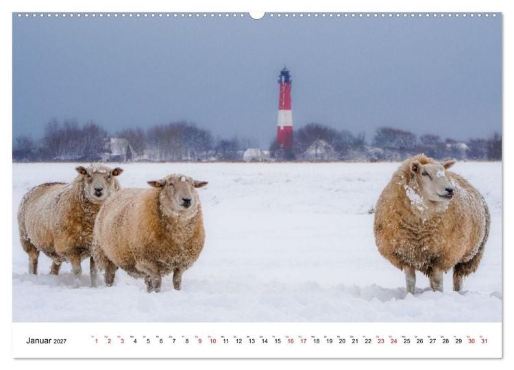 Produktbild: Pellwormer Ogenblicke, ein Streifzug durch ein Inseljahr (Wandkalender 2027 DIN A2 quer), CALVENDO Monatskalender