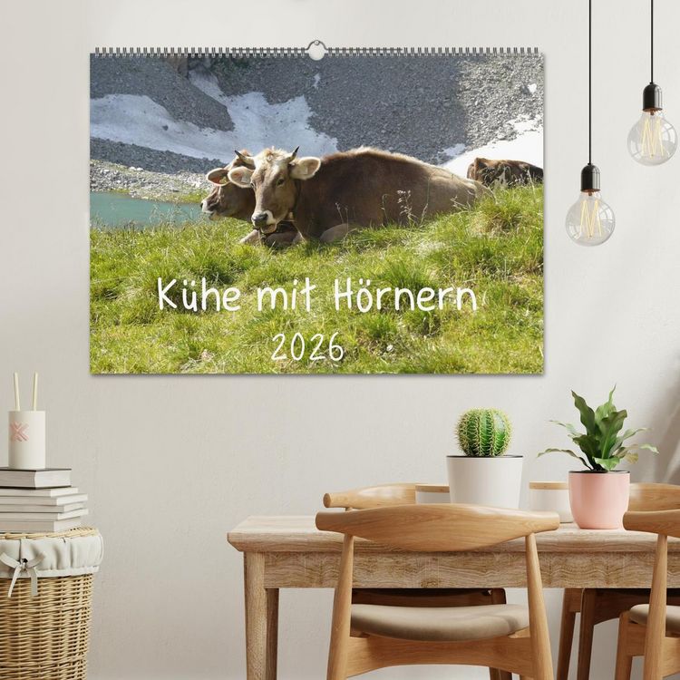 Produktbild: K&uuml;he mit H&ouml;rnern (Wandkalender 2026 DIN A2 quer), CALVENDO Monatskalender