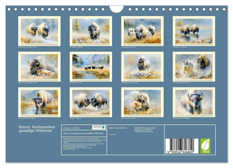 Produktbild: Bisons. Nordamerikas gewaltige Wildrinder (Wandkalender 2027 DIN A4 quer), CALVENDO Monatskalender