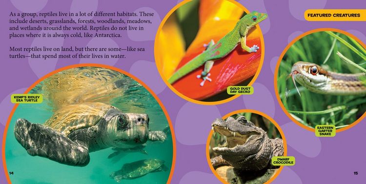 Produktbild: National Geographic Little Kids First Big Book of Reptiles and Amphibians
