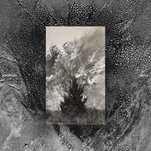 Produktbild: Sicle (LP)