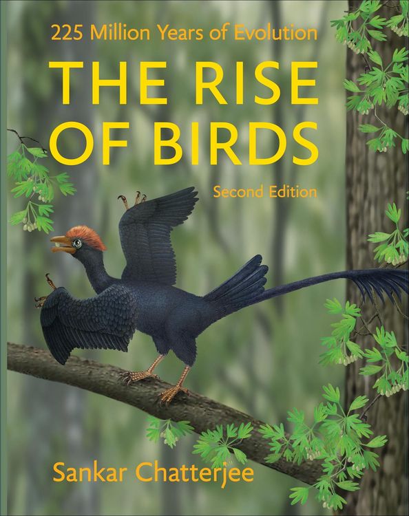 Produktbild: Rise of Birds