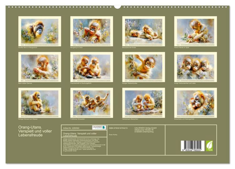 Produktbild: Orang-Utans. Verspielt und voller Lebensfreude (hochwertiger Premium Wandkalender 2027 DIN A2 quer), Kunstdruck in Hochglanz