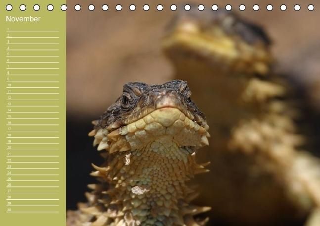 Produktbild: Drachen / Geburtstagskalender (Tischkalender immerw&auml;hrend DIN A5 quer)
