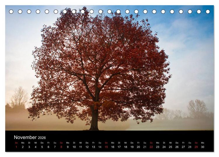 Produktbild: Farben der Natur (Tischkalender 2026 DIN A5 quer), CALVENDO Monatskalender