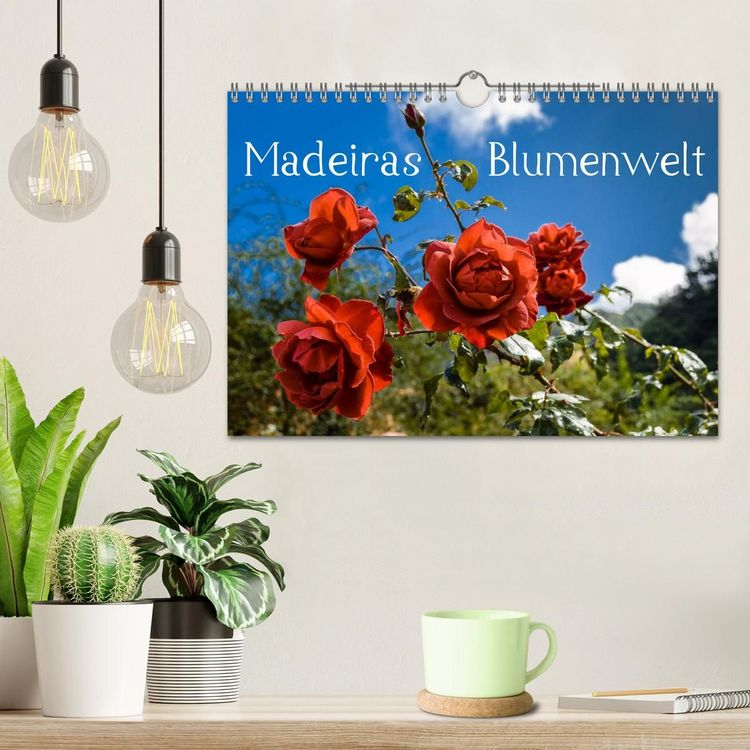 Produktbild: Madeiras Blumenwelt (Wandkalender 2027 DIN A4 quer), CALVENDO Monatskalender