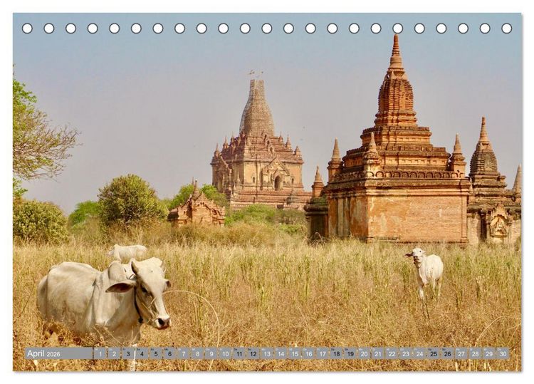 Produktbild: Als Backpacker um die Welt (Tischkalender 2026 DIN A5 quer), CALVENDO Monatskalender