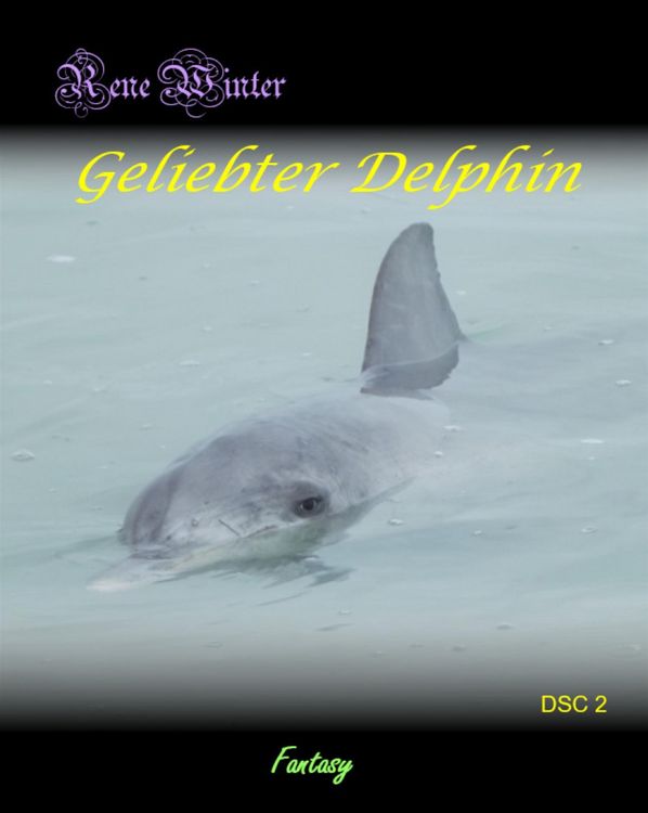 Produktbild: Geliebter Delphin