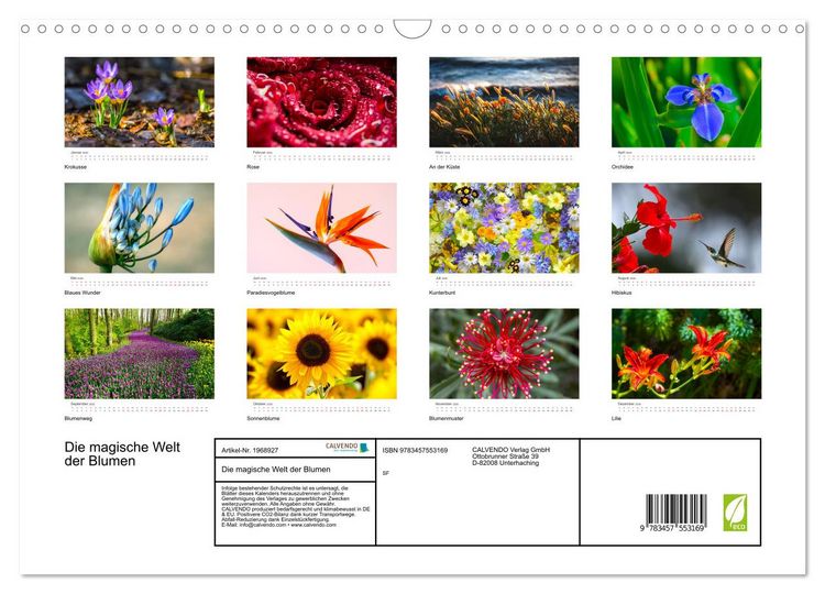 Produktbild: Die magische Welt der Blumen (Wandkalender 2026 DIN A3 quer), CALVENDO Monatskalender