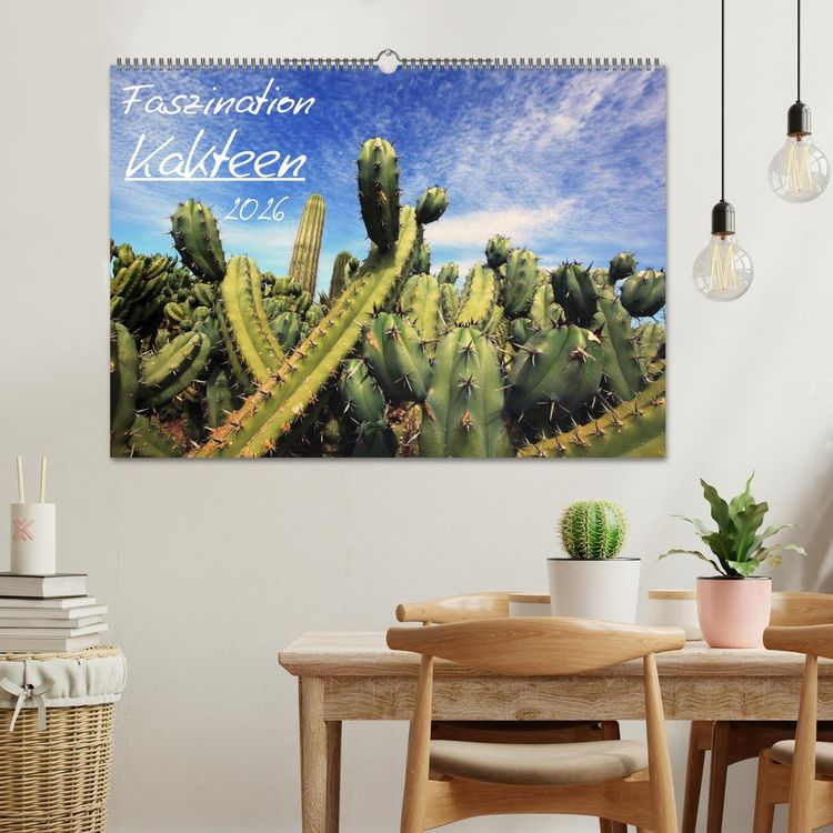 Produktbild: Faszination Kakteen (Wandkalender 2026 DIN A2 quer), CALVENDO Monatskalender