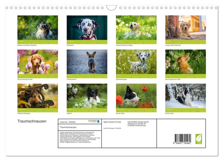 Produktbild: Traumschnauzen (Wandkalender 2026 DIN A3 quer), CALVENDO Monatskalender