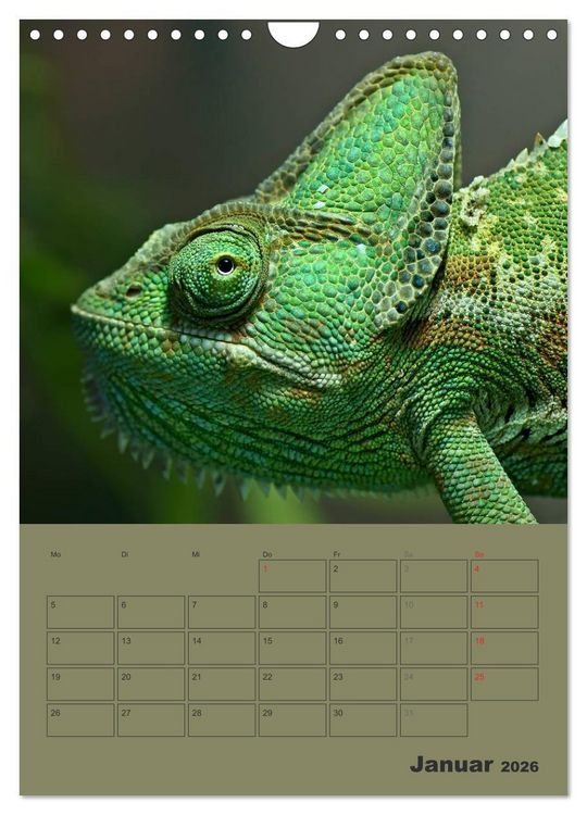 Produktbild: Minidrachen - Die kleinen Nachkommen der Urzeitmonster (Wandkalender 2026 DIN A4 hoch), CALVENDO Monatskalender