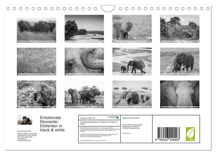 Produktbild: Emotionale Momente: Elefanten in black & white (Wandkalender 2026 DIN A4 quer), CALVENDO Monatskalender