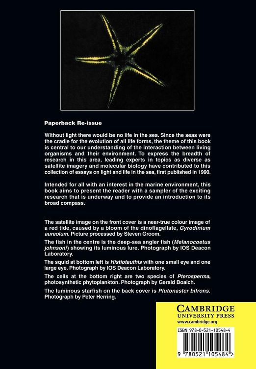 Produktbild: Light and Life in the Sea