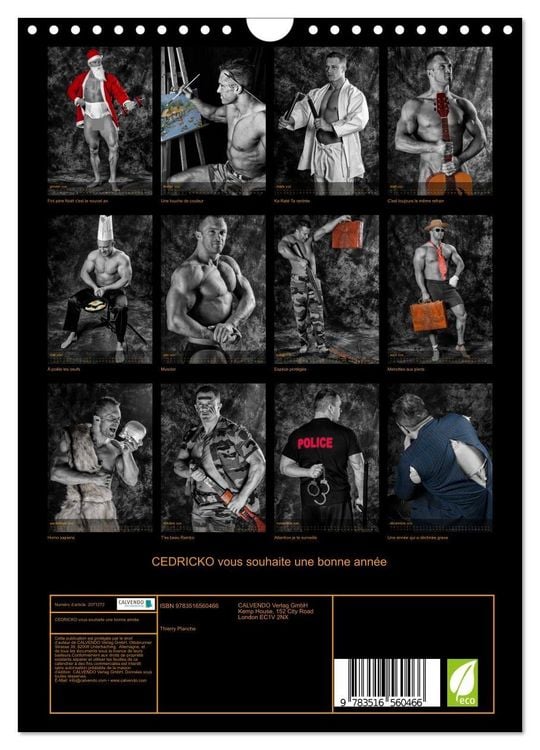 Produktbild: CEDRICKO vous souhaite une bonne ann&eacute;e (Calendrier mural 2026 DIN A4 horizontal), CALVENDO calendrier mensuel