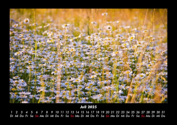 Produktbild: Bilder der Natur 2025 Fotokalender DIN A3