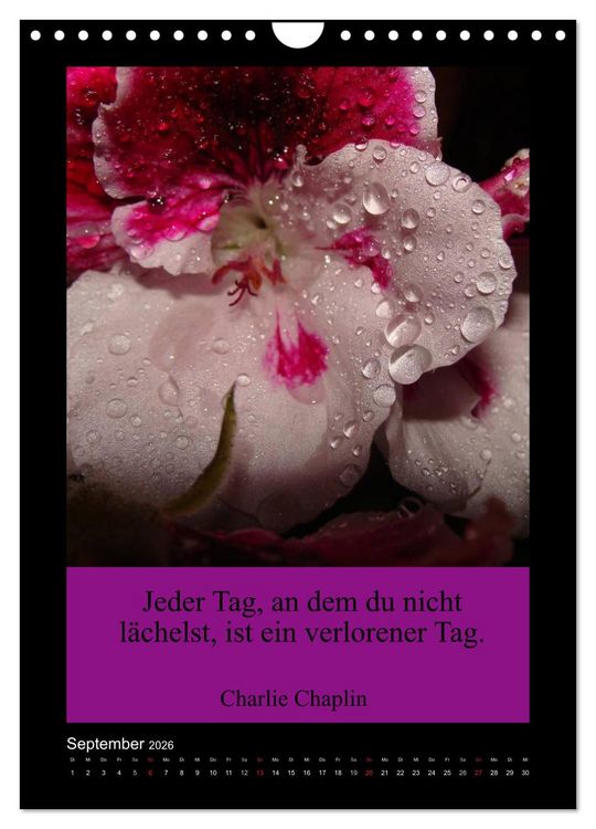 Produktbild: Lebensweisheiten mit Blumigen Gr&uuml;&szlig;en (Wandkalender 2026 DIN A4 hoch), CALVENDO Monatskalender